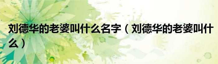 刘德华的老婆叫什么名字（刘德华的老婆叫什么）