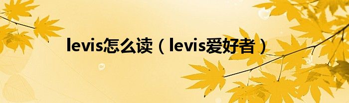 levis怎么读(levis爱好者)