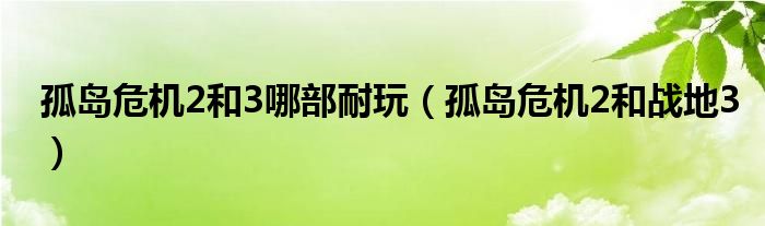 孤岛危机2和3哪部耐玩(孤岛危机2和战地3)