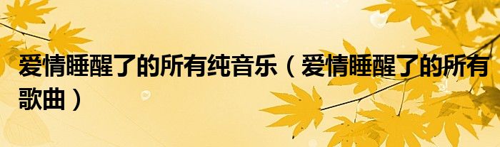 爱情睡醒了的所有纯音乐(爱情睡醒了的所有歌曲)