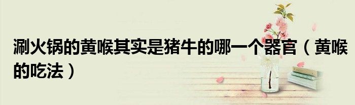 涮火锅的黄喉其实是猪牛的哪一个器官(黄喉的吃法)