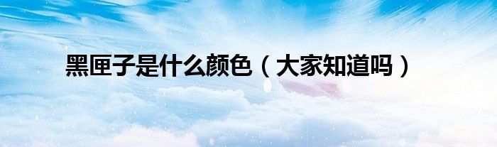 黑匣子是什么颜色(大家知道吗)