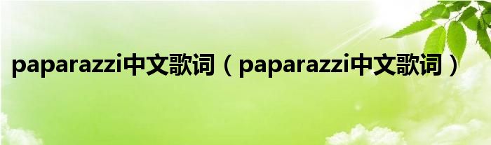 paparazzi中文歌词(paparazzi中文歌词)