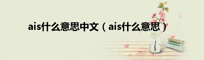 ais什么意思中文（ais什么意思）