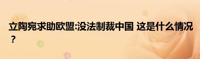 立陶宛求助欧盟:没法制裁中国 这是什么情况?