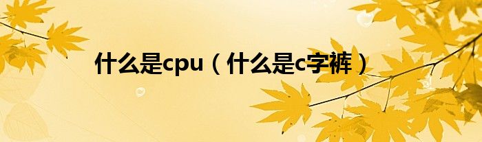 什么是cpu（什么是c字裤）