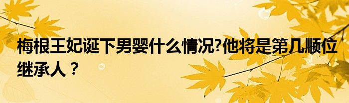 梅根王妃诞下男婴什么情况?他将是第几顺位继承人？