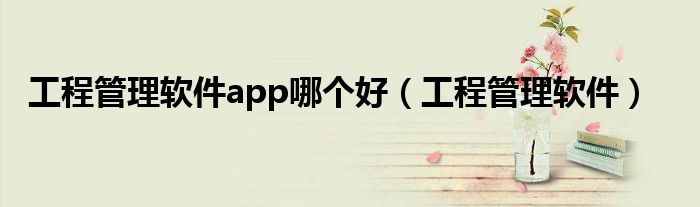 工程管理软件app哪个好（工程管理软件）