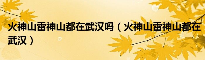 火神山雷神山都在武汉吗(火神山雷神山都在武汉)