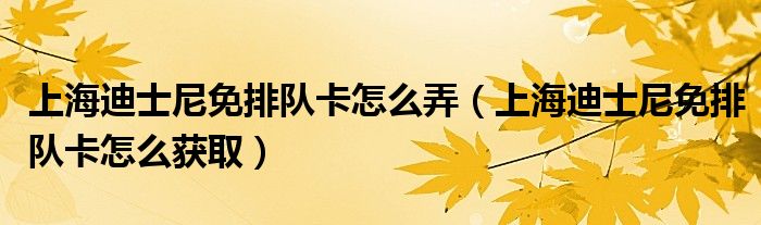 上海迪士尼免排队卡怎么弄(上海迪士尼免排队卡怎么获取)