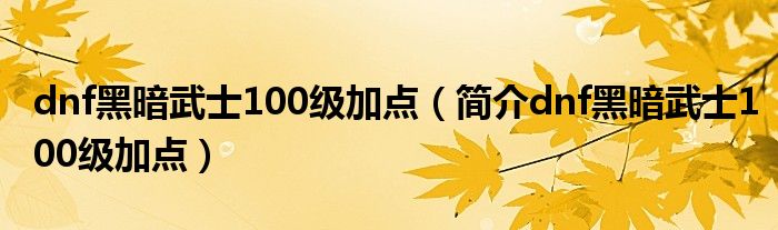 dnf黑暗武士100级加点(简介dnf黑暗武士100级加点)