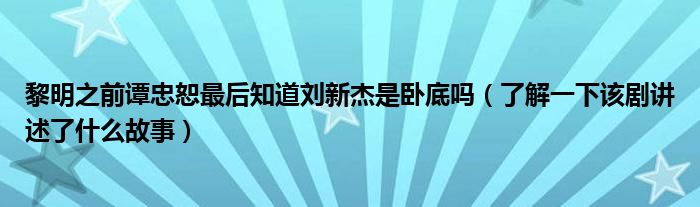 黎明之前谭忠恕最后知道刘新杰是卧底吗(了解一下该剧讲述了什么故事)