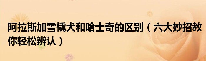 阿拉斯加雪橇犬和哈士奇的区别(六大妙招教你轻松辨认)