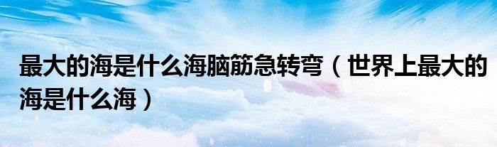 最大的海是什么海脑筋急转弯(世界上最大的海是什么海)