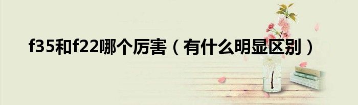 f35和f22哪个厉害(有什么明显区别)