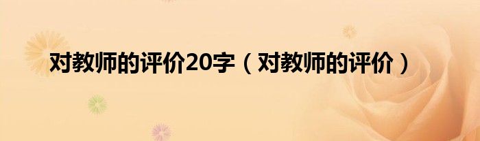 对教师的评价20字(对教师的评价)