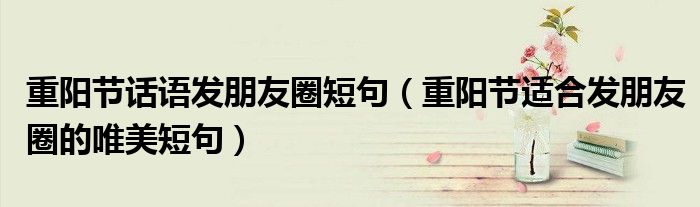 重阳节话语发朋友圈短句(重阳节适合发朋友圈的唯美短句)