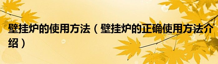 壁挂炉的使用方法(壁挂炉的正确使用方法介绍)