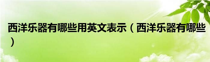 西洋乐器有哪些用英文表示(西洋乐器有哪些)