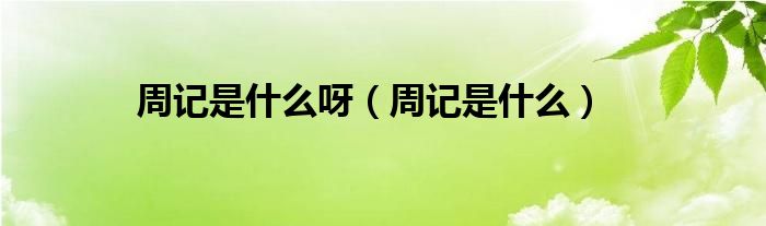 周记是什么呀（周记是什么）