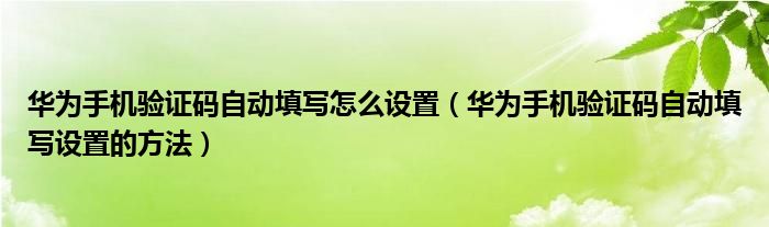 华为手机验证码自动填写怎么设置(华为手机验证码自动填写设置的方法)