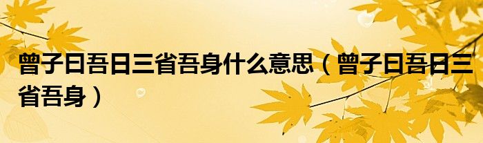 曾子曰吾日三省吾身什么意思(曾子曰吾日三省吾身)