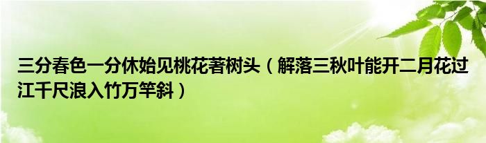 三分春色一分休始见桃花著树头(解落三秋叶能开二月花过江千尺浪入竹万竿斜)