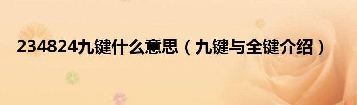 234824九键什么意思(九键与全键介绍)