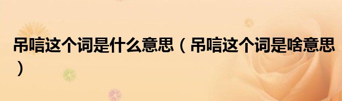 吊唁这个词是什么意思(吊唁这个词是啥意思)