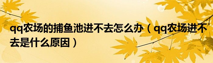 qq农场的捕鱼池进不去怎么办(qq农场进不去是什么原因)