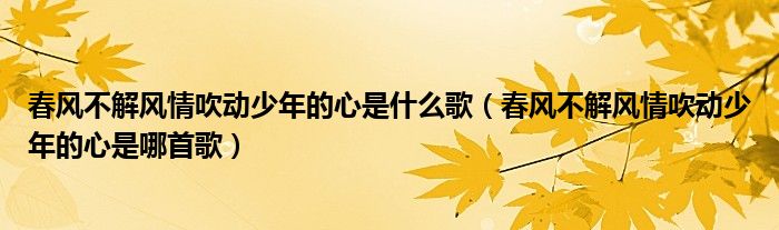 春风不解风情吹动少年的心是什么歌(春风不解风情吹动少年的心是哪首歌)