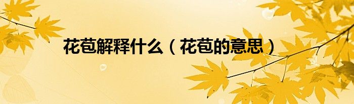 花苞解释什么（花苞的意思）
