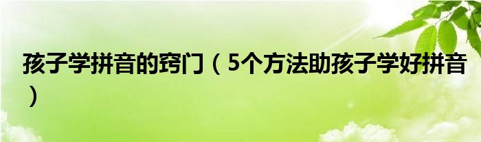 孩子学拼音的窍门(5个方法助孩子学好拼音)