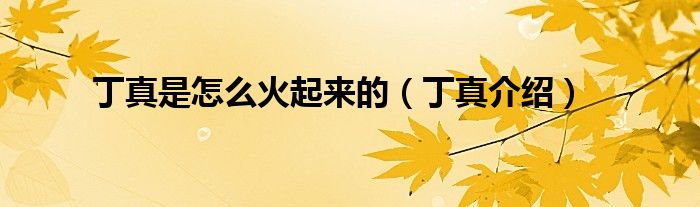 丁真是怎么火起来的(丁真介绍)