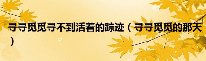 寻寻觅觅寻不到活着的踪迹(寻寻觅觅的那天)