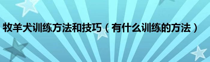 牧羊犬训练方法和技巧(有什么训练的方法)
