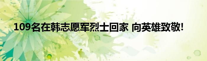 109名在韩志愿军烈士回家 向英雄致敬!
