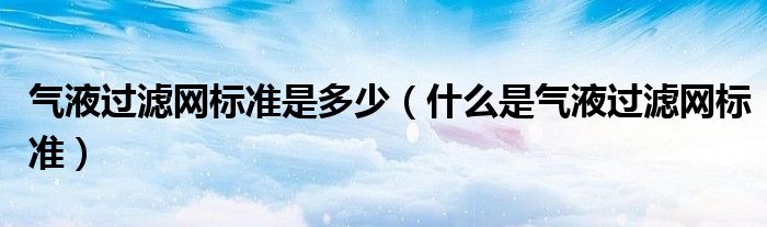 气液过滤网标准是多少(什么是气液过滤网标准)
