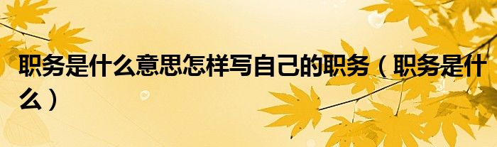 职务是什么意思怎样写自己的职务(职务是什么)