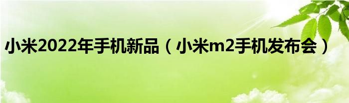 小米2022年手机新品(小米m2手机发布会)