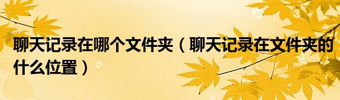 聊天记录在哪个文件夹(聊天记录在文件夹的什么位置)