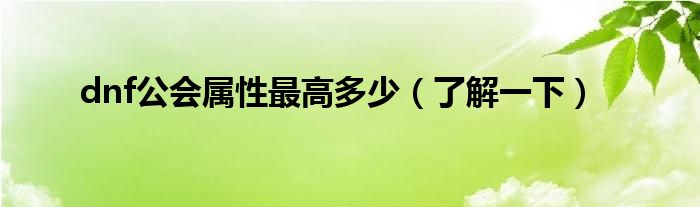 dnf公会属性最高多少(了解一下)