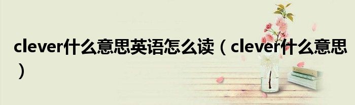clever什么意思英语怎么读(clever什么意思)