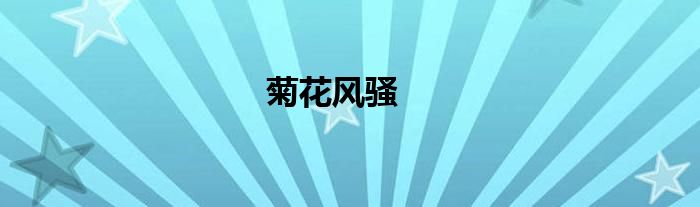 菊花风骚