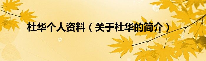 杜华个人资料(关于杜华的简介)