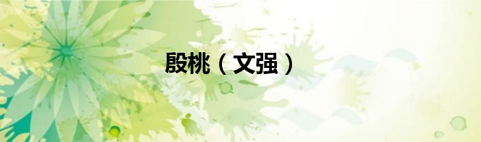 殷桃（文强）