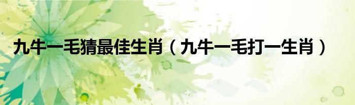 九牛一毛猜最佳生肖（九牛一毛打一生肖）