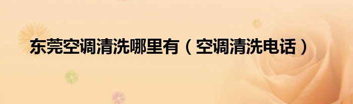 东莞空调清洗哪里有(空调清洗电话)