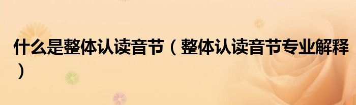 什么是整体认读音节(整体认读音节专业解释)
