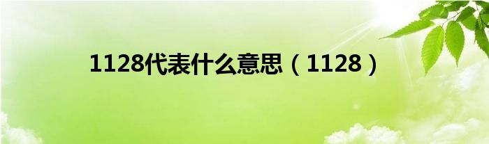 1128代表什么意思(1128)